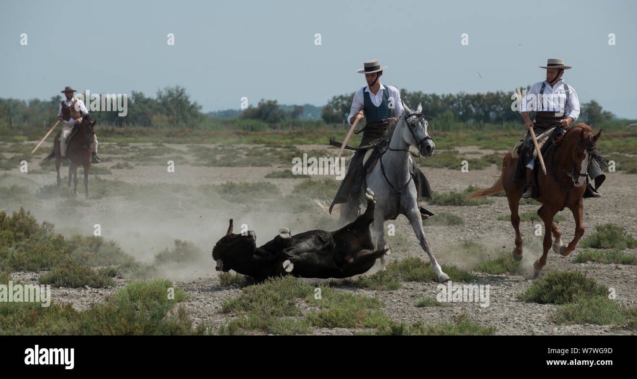 acoso-y-derribo-hi-res-stock-photography-and-images-alamy