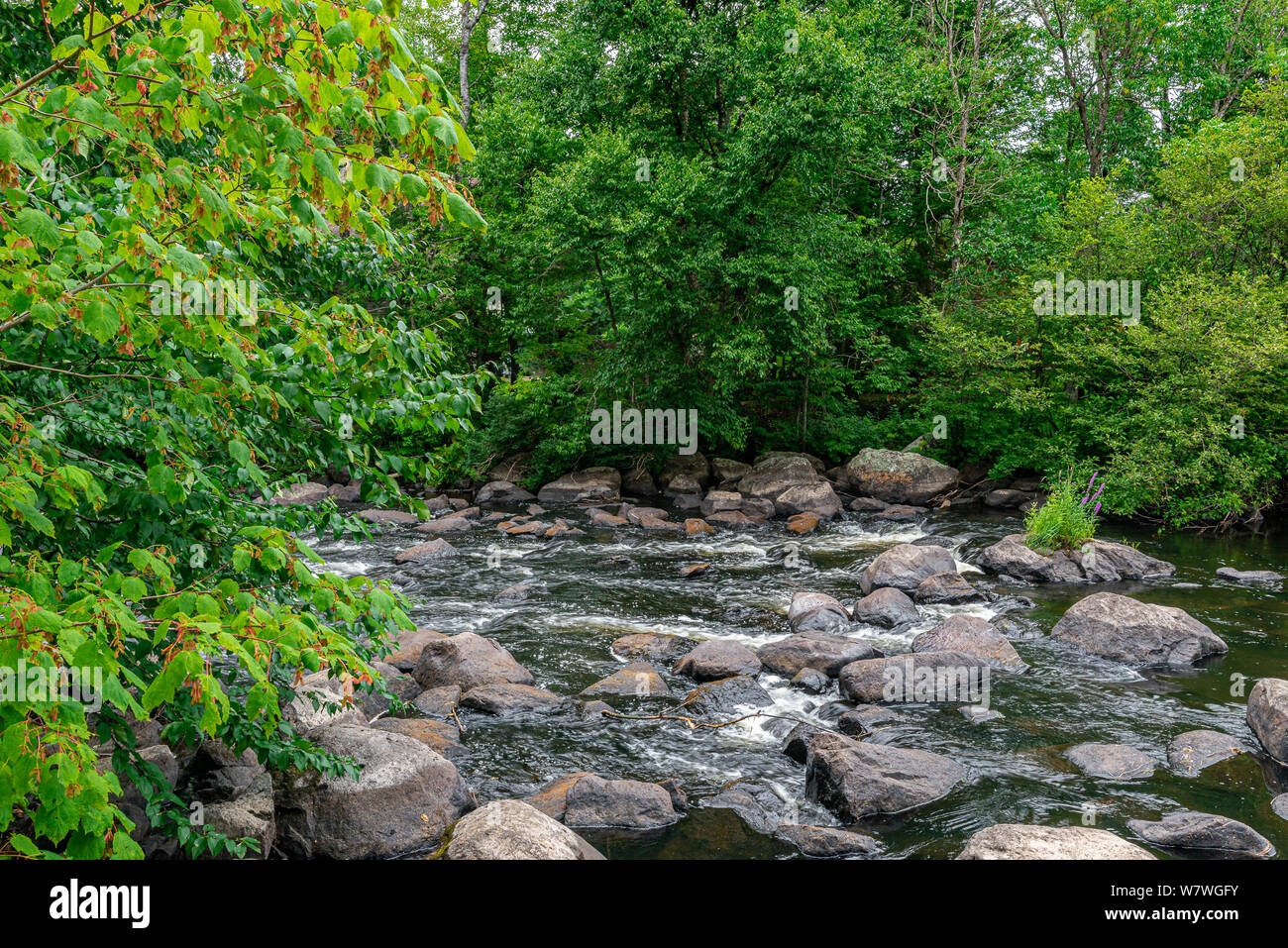 Stream cours hi-res stock photography and images - Alamy
