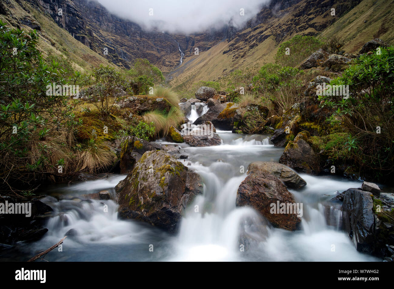Mountain stream with low clouds at top of valley, High Andes, Bolivia, October 2013. Stock Photo