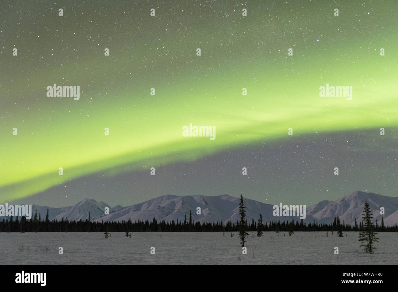 Aurora borealis / Northern lights over mountain range near Denali National Park with Alaska, USA, March 2013. Stock Photo
