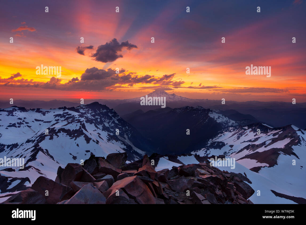Mount Rainier at sunset, seen from the summit of Old Snowy Mountain in the Goat Rocks Wilderness of the Cascades in Washington, USA. July 2012. Stock Photo