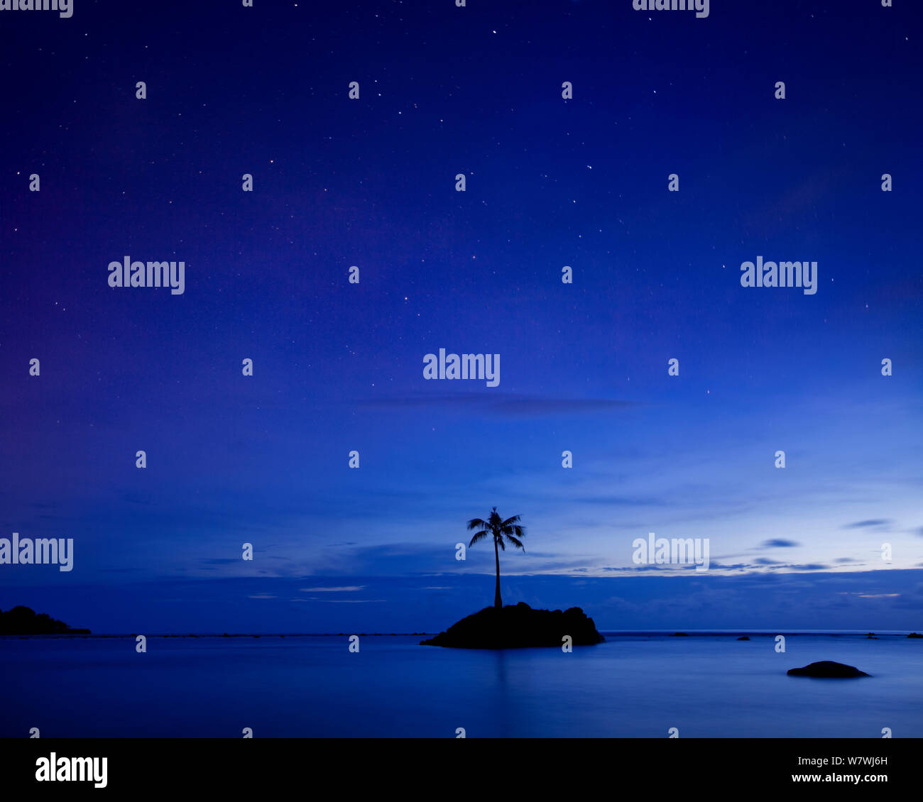 A lone palm tree at twilight off the coast of American Samoa. January 2012. Stock Photo