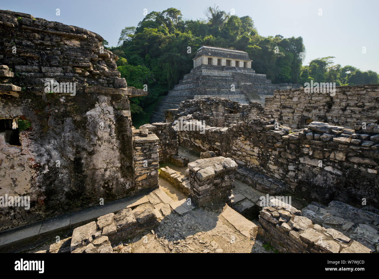 The Palenque Mayan ruins - Temple of the Inscriptions, seen from The Palace, Chiapas, Mexico. March 2014. Stock Photo