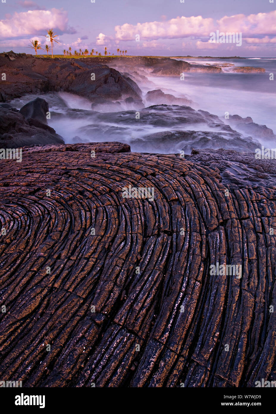 Pahoehoe lava along the coast of Volcanoes National Park, Hawaii. July 2011. Stock Photo