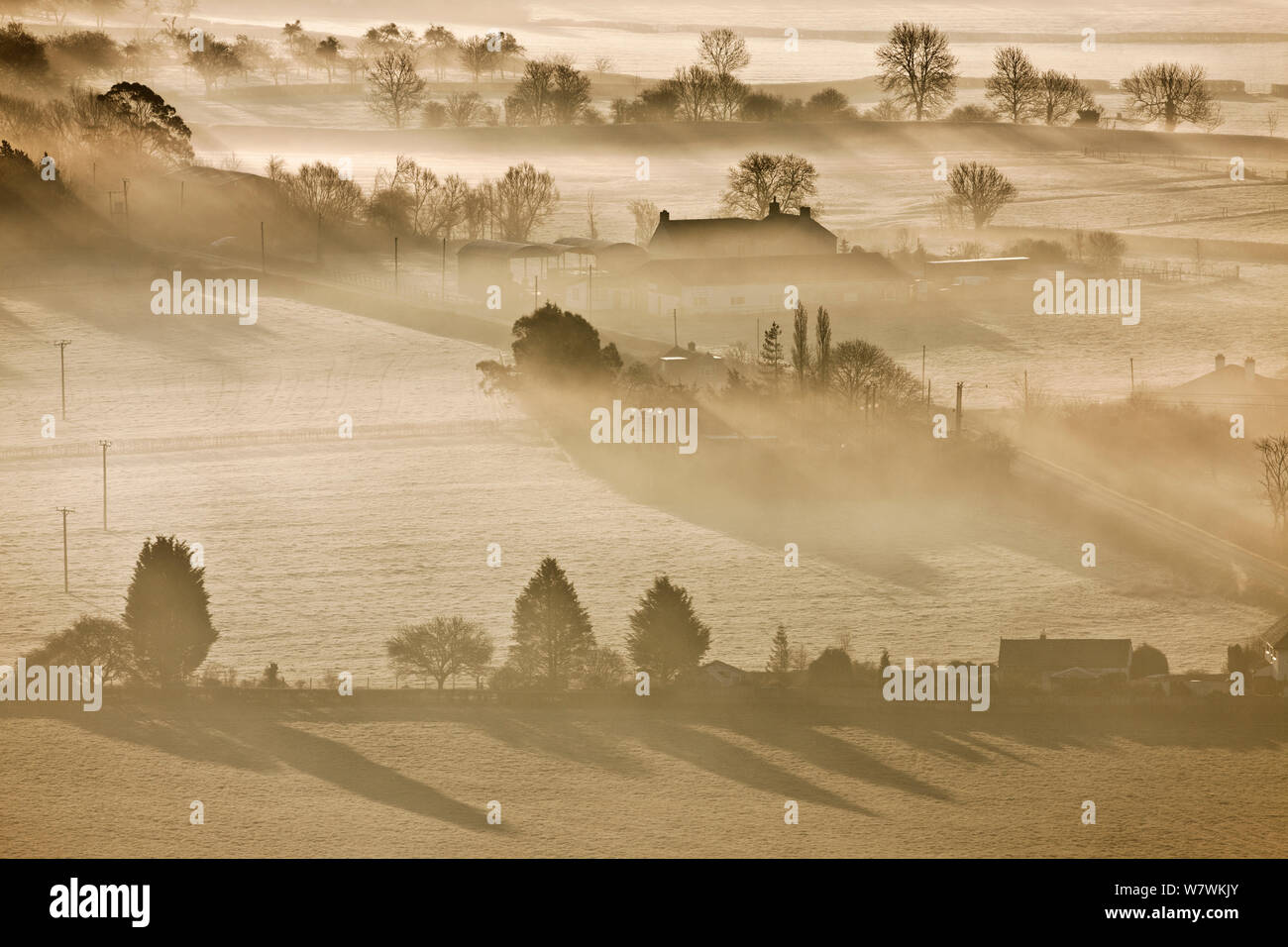 View across the Somerset Levels at dawn, seen from Glastonbury Tor, Somerset, England, UK, March 2012. Stock Photo