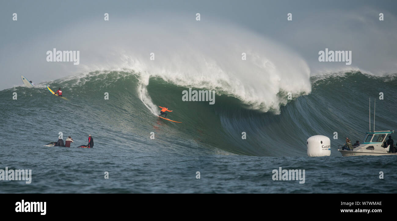 Competing surfers hi-res stock photography and images - Alamy