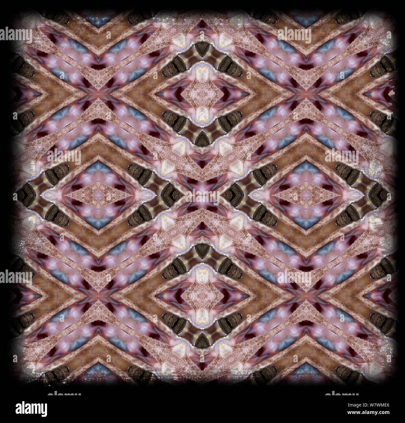 Kaleidoscope pattern formed from picture of Leaf Tail Gecko (Uroplatus) eyes and mouth. Restricted for Editorial use until December 2015 Stock Photo