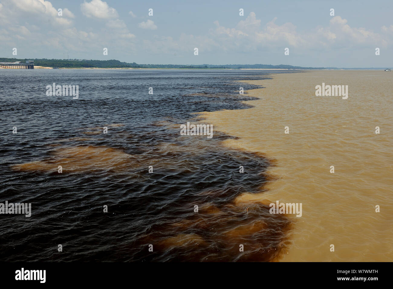 Meeting of the waters of Negro and Solimoes River, forming the Amazon River, 18 km East of Manaus, Amazonas State, Northern Brazil. Stock Photo