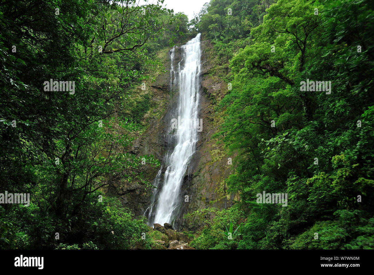 Waterfall in tropical rainforest, Salto Morato Nature Reserve / RPPN Salto Morato, Guaraquecaba, Parana, Brazil. Stock Photo