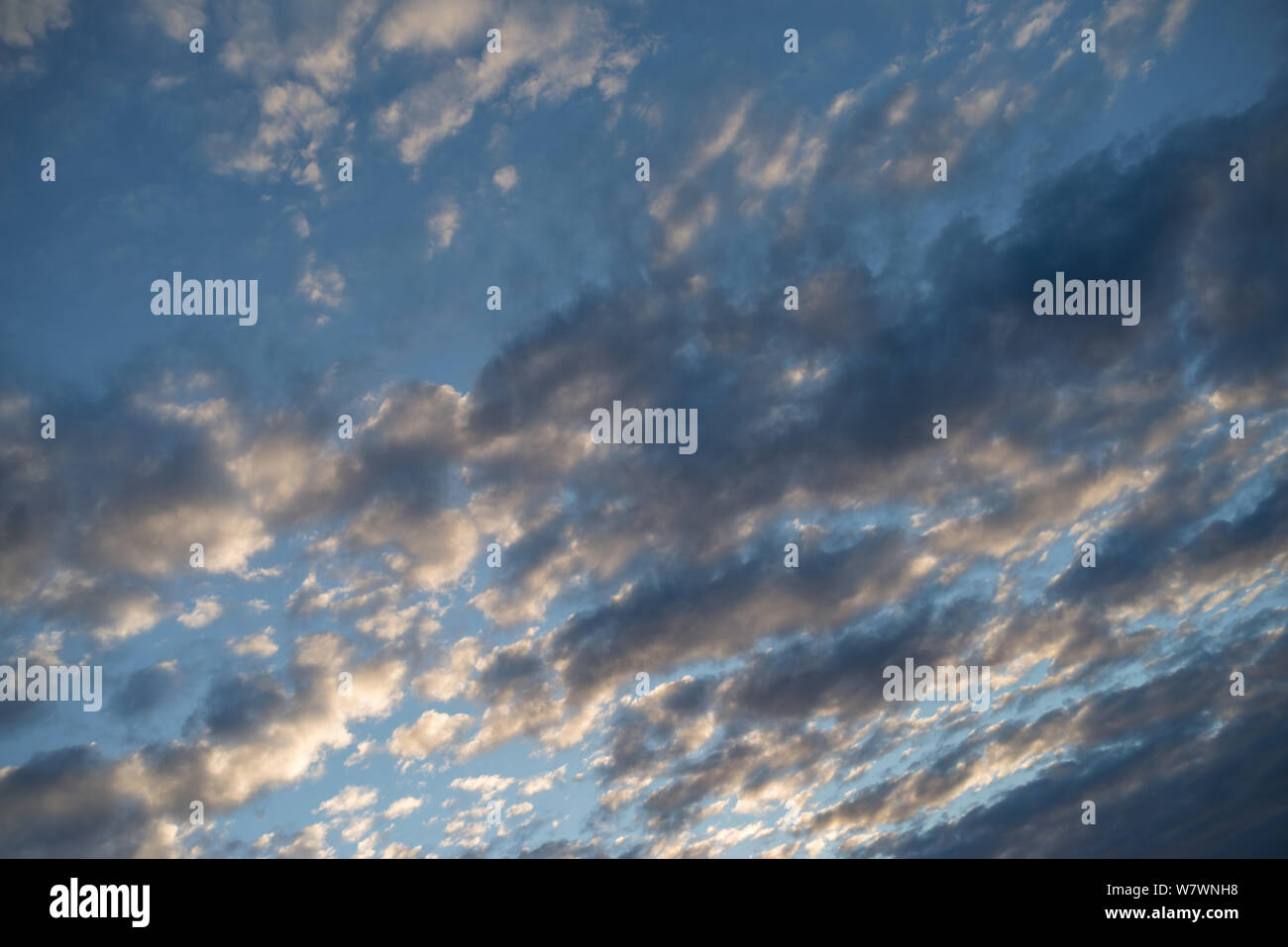 Altocumulus cloud during the day Stock Photo