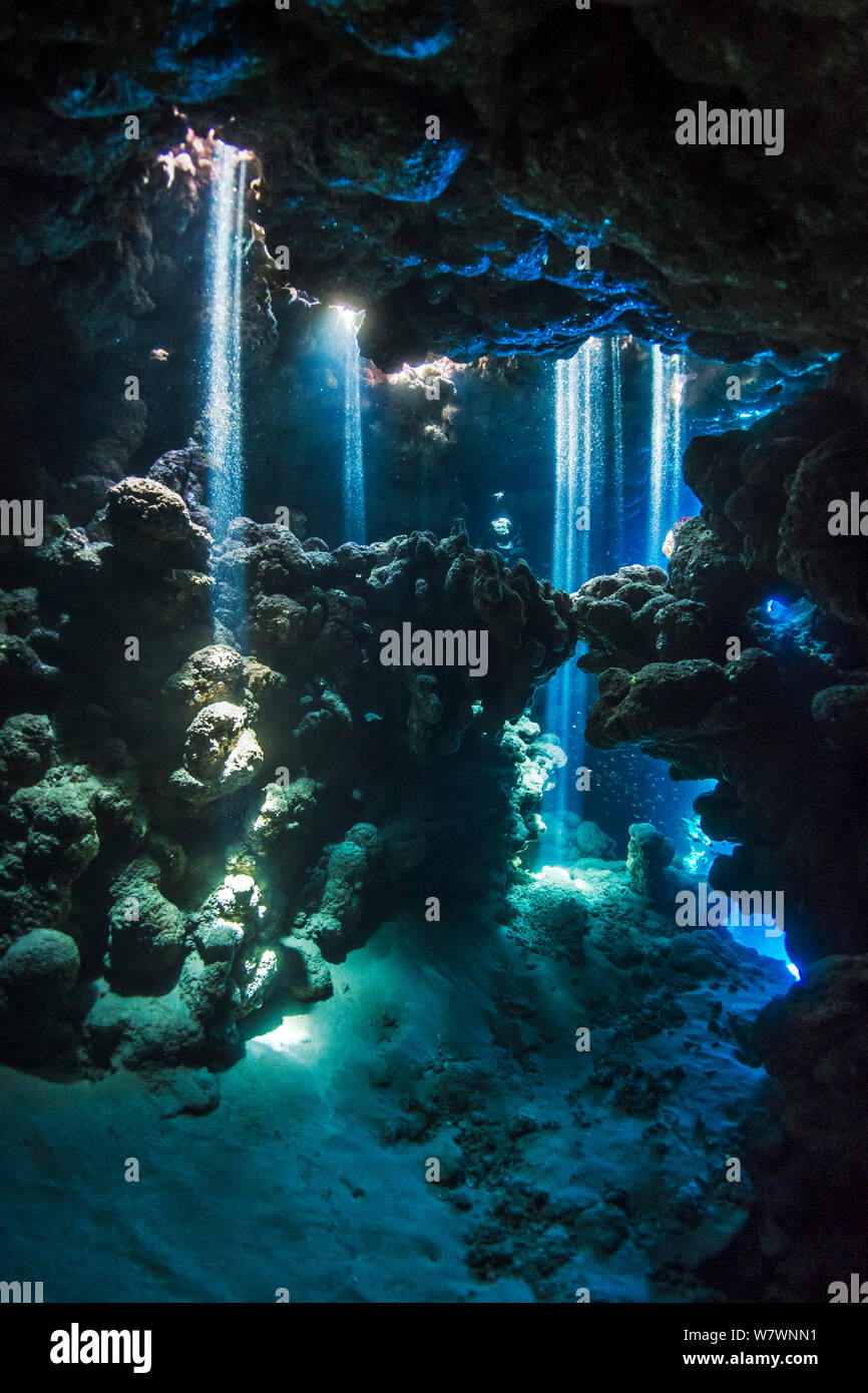 Shafts of light shine down into the darkness of cavern within coral reef. Jackfish Alley, Ras Mohammed Marine Park, Sinai, Egypt. Red Sea. Stock Photo