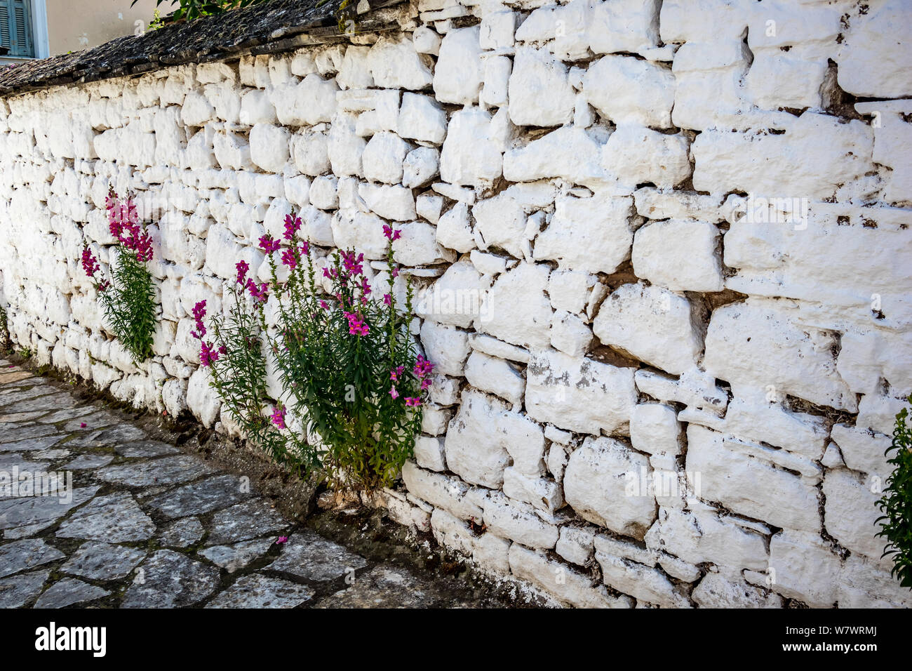 Whitewashed external wall with pink blossom flowers, street view, Ioannina island on lake Pamvotida near the beautiful small island near the Greek tow Stock Photo
