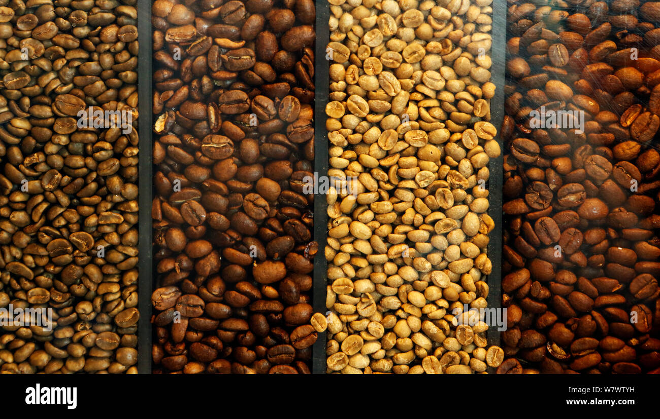 Different kinds of Coffee beans, seen through glass. Stock Photo