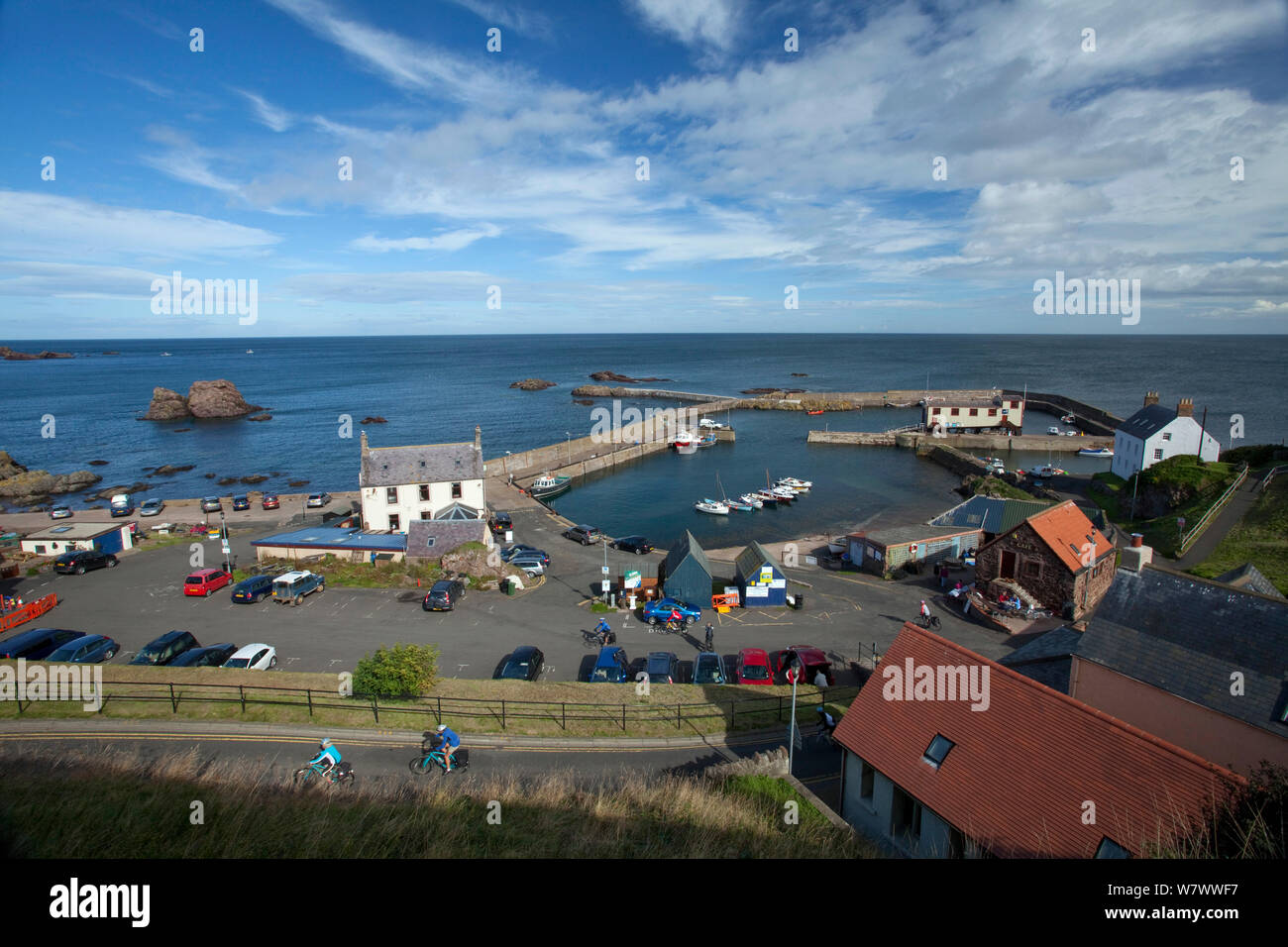 Landscape of the harbour at St Abbs, St Abbs Voluntary Marine Reserve, Berwickshire, Scottish Borders, Scotland (North Sea) Stock Photo