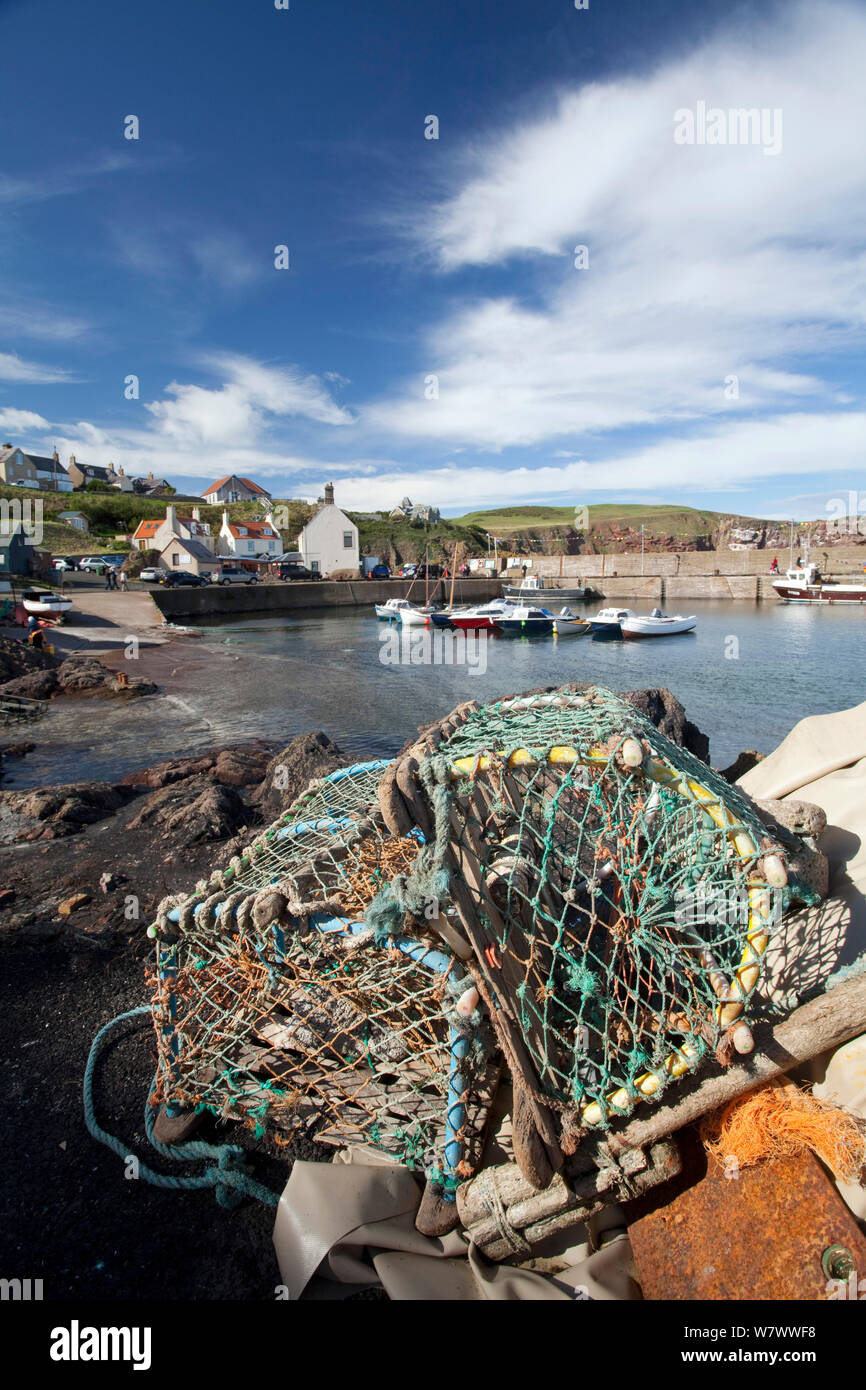 Landscape of the harbour with discarded lobster pots at St Abbs, St Abbs Voluntary Marine Reserve, Berwickshire, Scottish Borders, Scotland (North Sea) Stock Photo