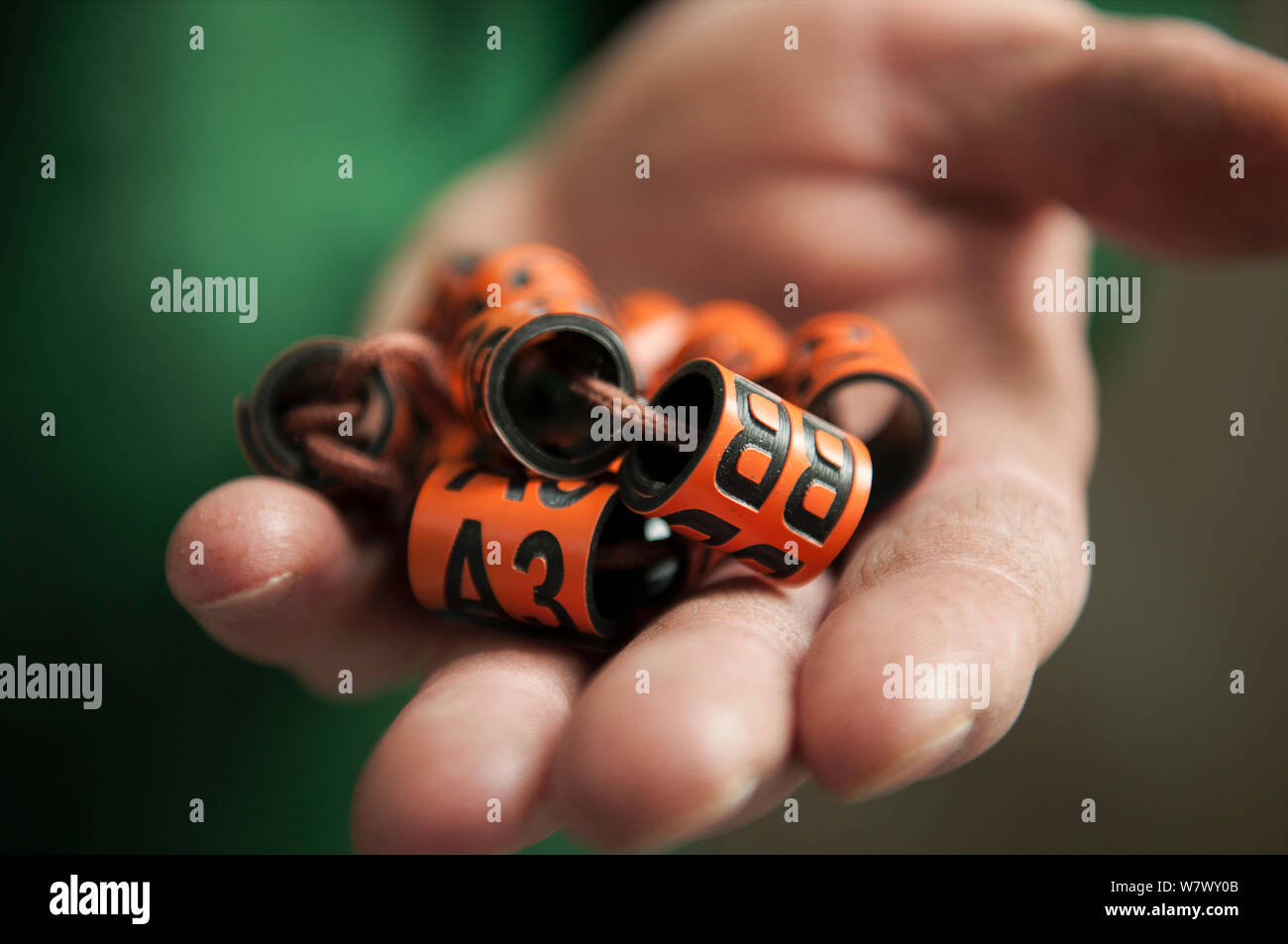 Bto rings hi-res stock photography and images - Alamy