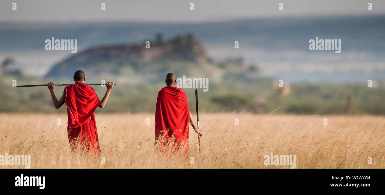 Masaai people walking across plain, Seronera, Serengeti, Tanzania. March 2014. Stock Photo