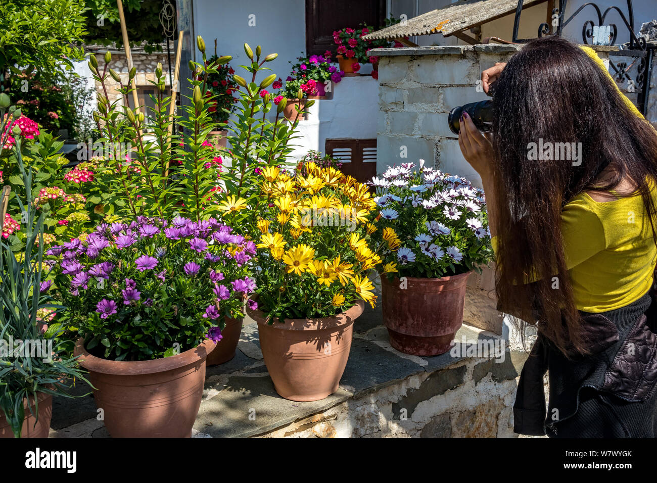 IOANNINA, GREECE - JUNE 6, 2019 - Young tall female photographer with long black hair and yellow blouse takes photos of beautiful amazing spring bloss Stock Photo