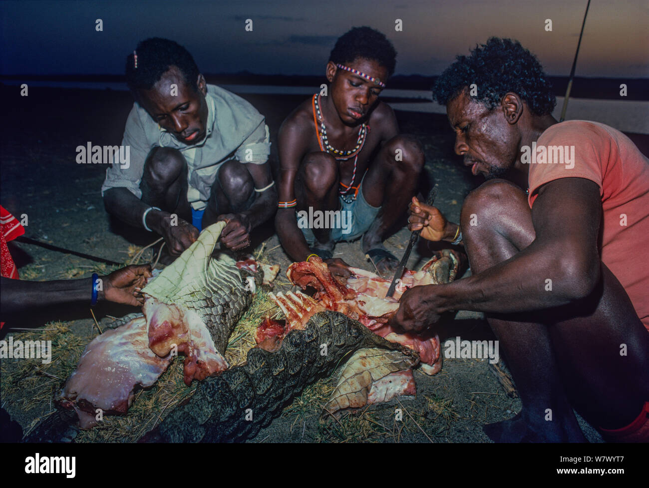 El Molo hunters butchering Nile crocodile (Crocodylus niloticus) Lake Turkana, Kenya. Stock Photo