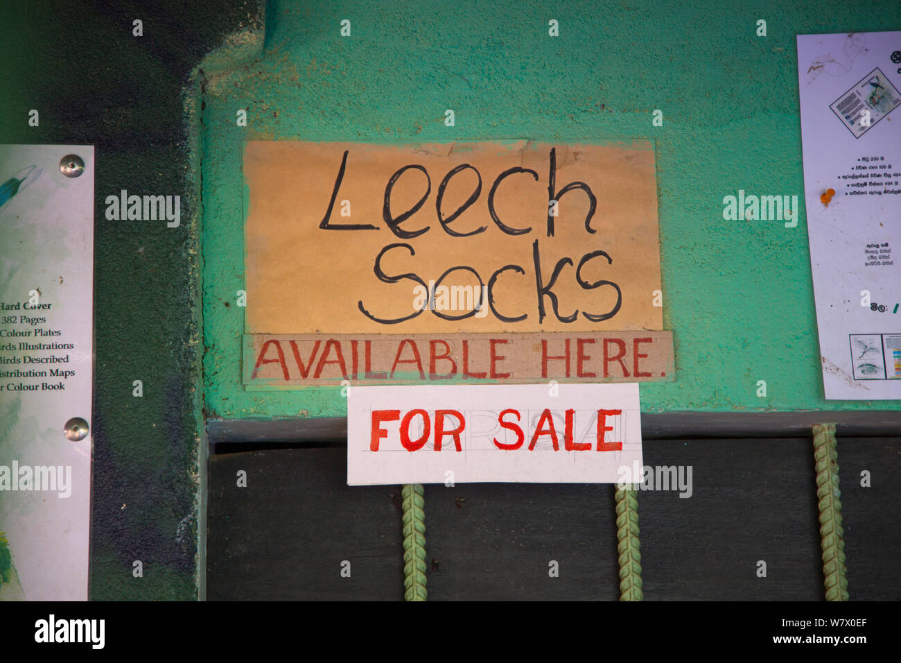 Leech socks for sale at game lodge, Sinharaga Forest Reserve, Sri Lanka. Stock Photo