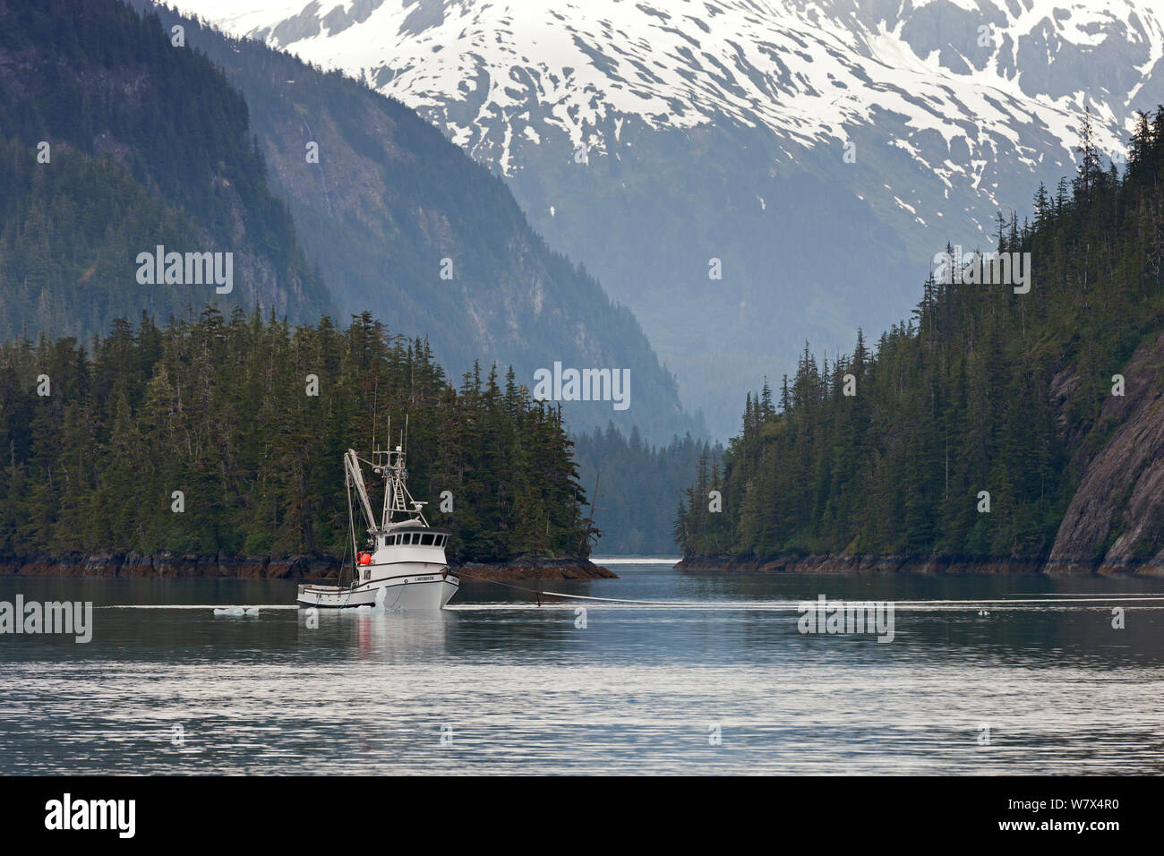 Salmon fishing boat, Prince William Sound, Alaska, USA. June 2013 Stock