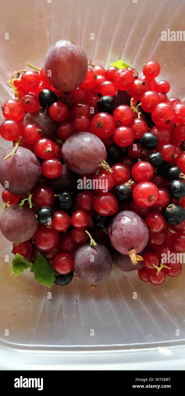 Summer Helsinki 2019 Stock Photo Alamy