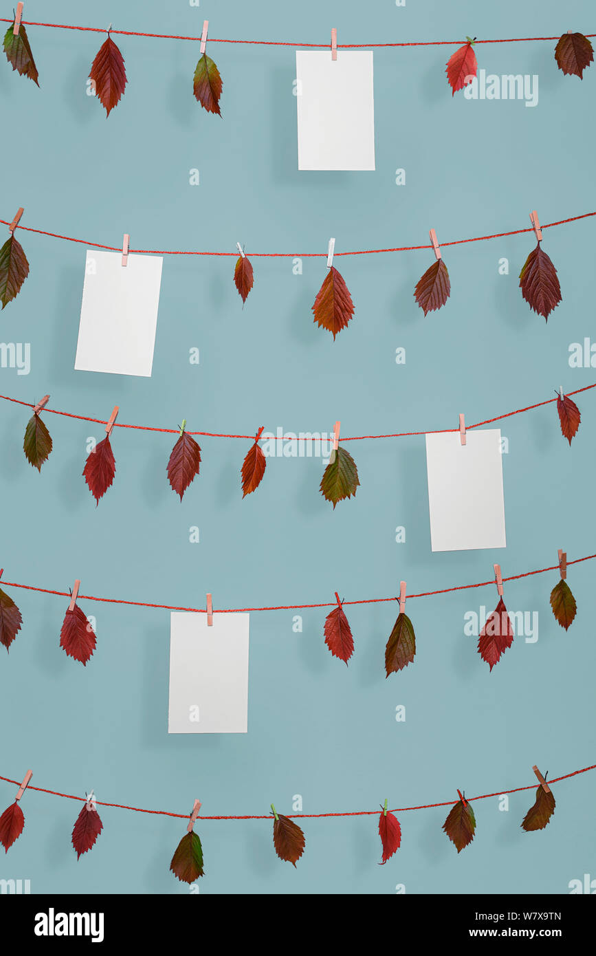 Autumn background with colorful fallen leaves hanging on strings and empty white papers, with wooden clips, on blue wall. Fall frame with copy space. Stock Photo