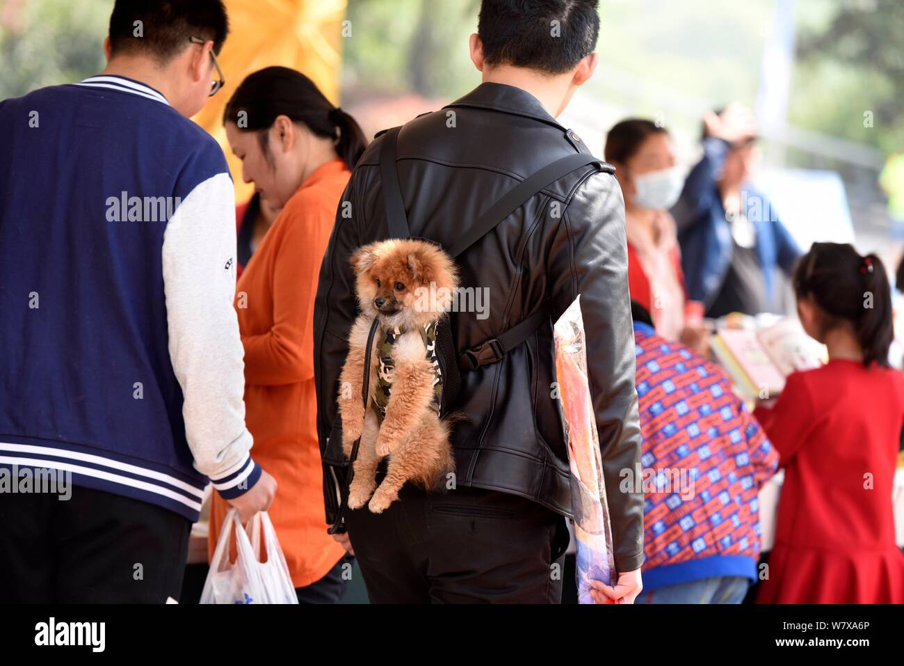 chinese baby sling