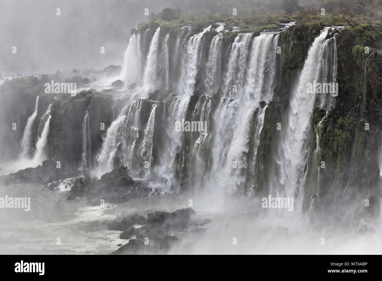 Salto Escondido, Iguazu falls, Brazil/Argentina, from the Argentine side. September 2010. Stock Photo