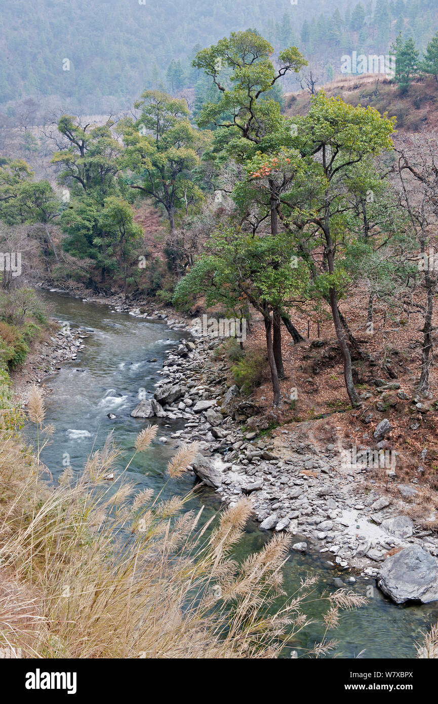 Shangti Valley, near Dirang, Arunachal Pradesh, India, January 2014. Stock Photo