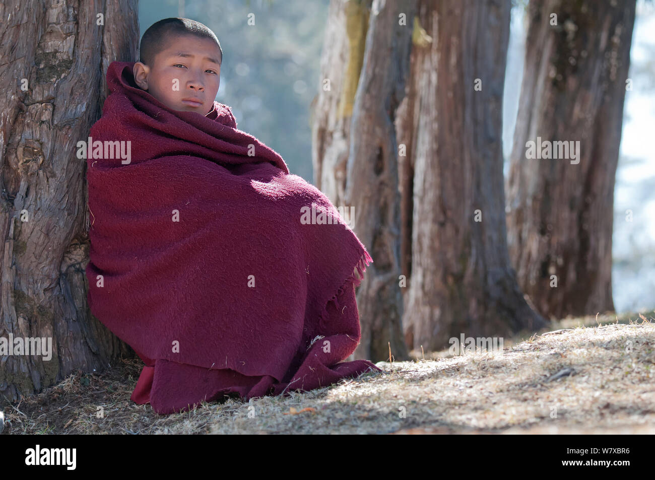 Young monk watching rehearsal of dances in preparation for the Torgya festival. Galdan Namge Lhatse Monastery, Tawang, Arunachal Pradesh, India. January 2014. Stock Photo