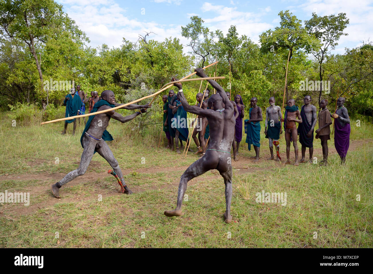 Winner of the Donga stick fighting in Surma tribe , Omo Ethiopia