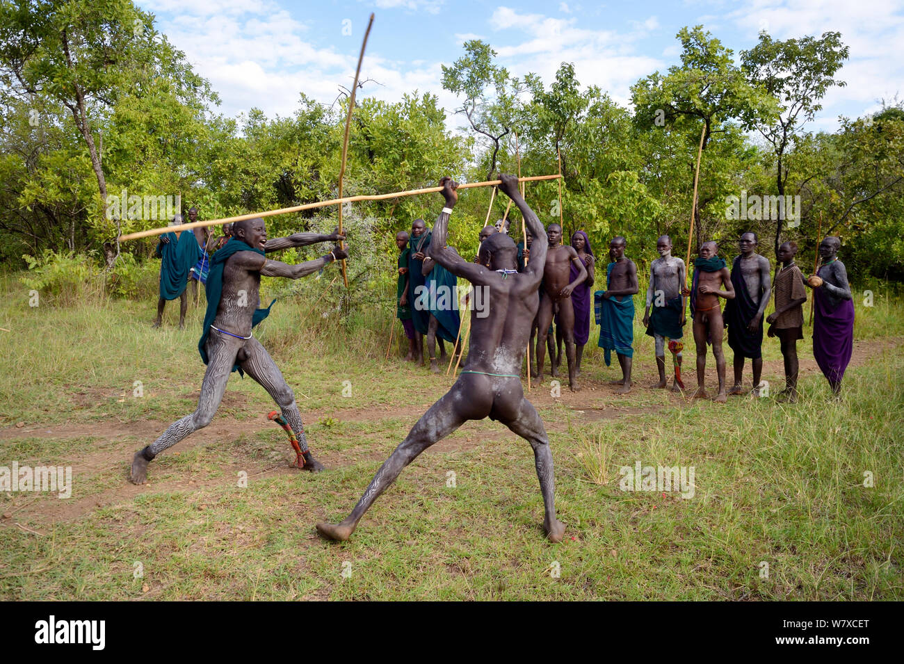 &#39;Donga&#39; stick fighters, Suri / Surma tribe. The Donga fights are an outlet to resolve conflicts between tribes. Omo river Valley, Ethiopia, September 2014. Stock Photo