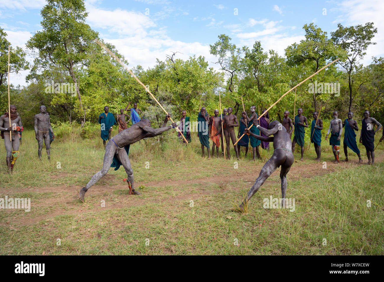 &#39;Donga&#39; stick fighters, Suri / Surma tribe. The Donga fights are an outlet to resolve conflicts between tribes. Omo river Valley, Ethiopia, September 2014. Stock Photo