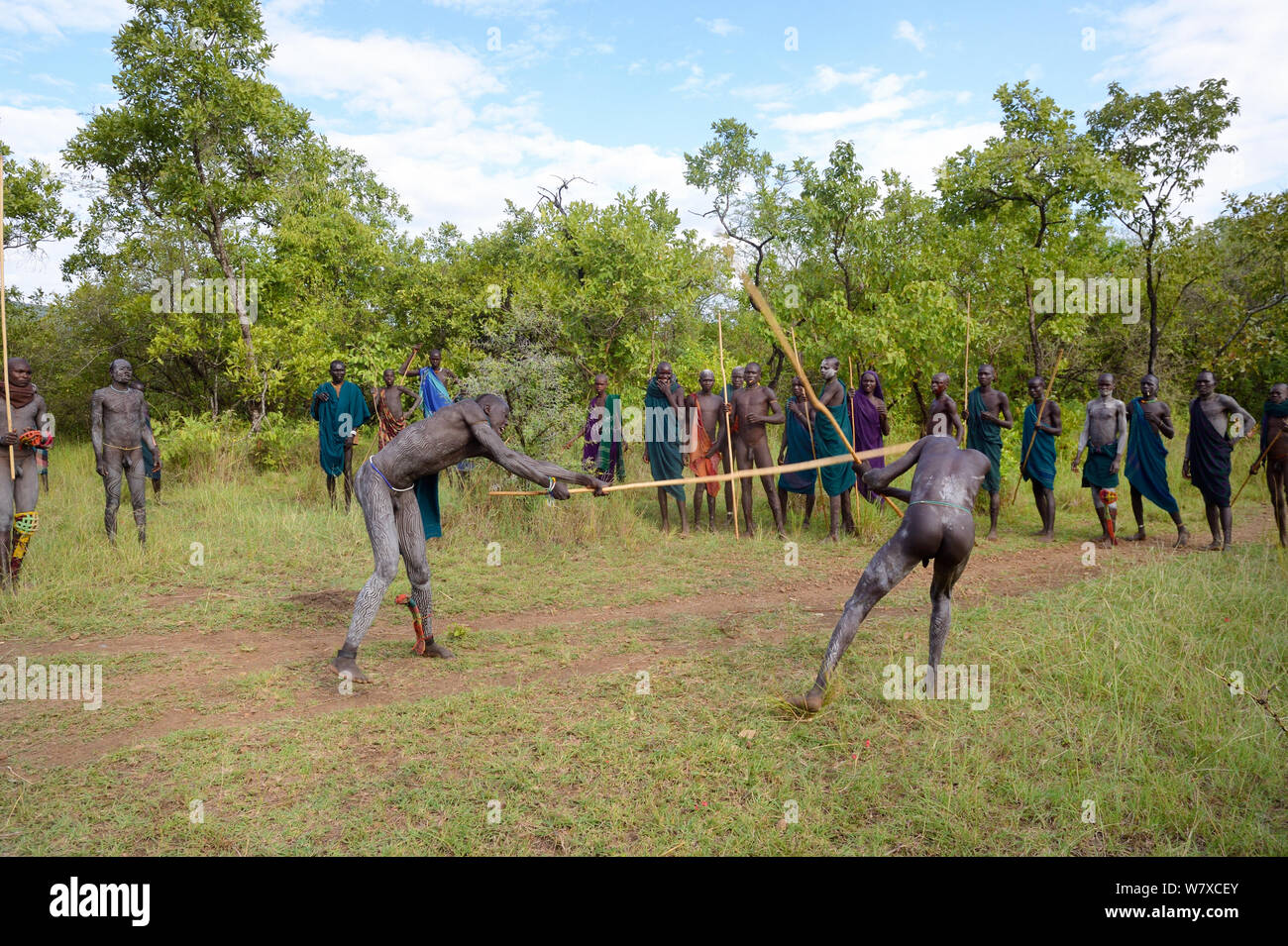 &#39;Donga&#39; stick fighters, Suri / Surma tribe. The Donga fights are an outlet to resolve conflicts between tribes. Omo river Valley, Ethiopia, September 2014. Stock Photo