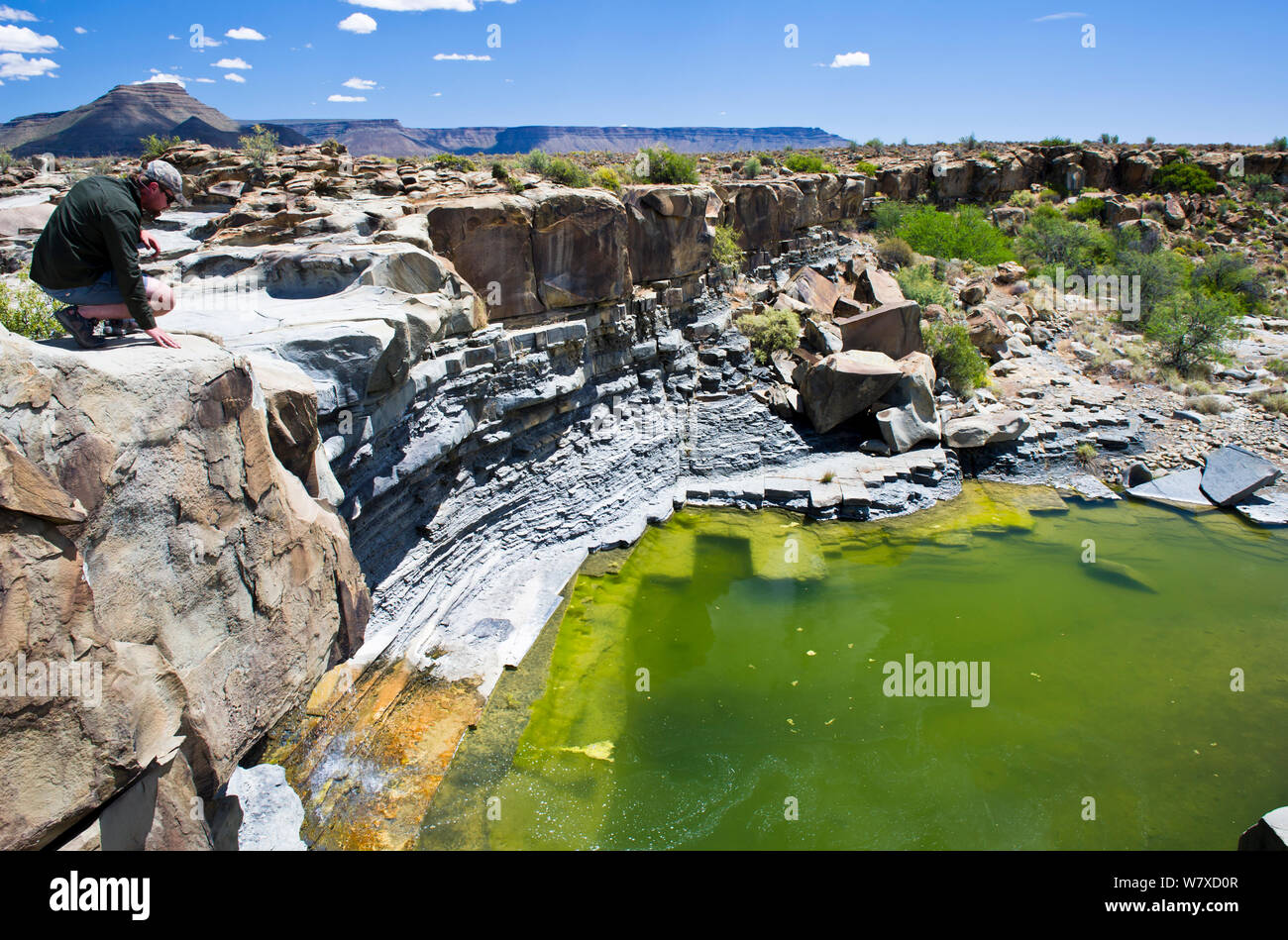 A field assistant of ecologist Bruce Paxton looking down into a freshwater pool to determine the presence of fish. Tankwa Karoo, Western Cape, South Africa. Part of the IUCN SOS Cape Critical Rivers Conservation Project, October 2013. Stock Photo