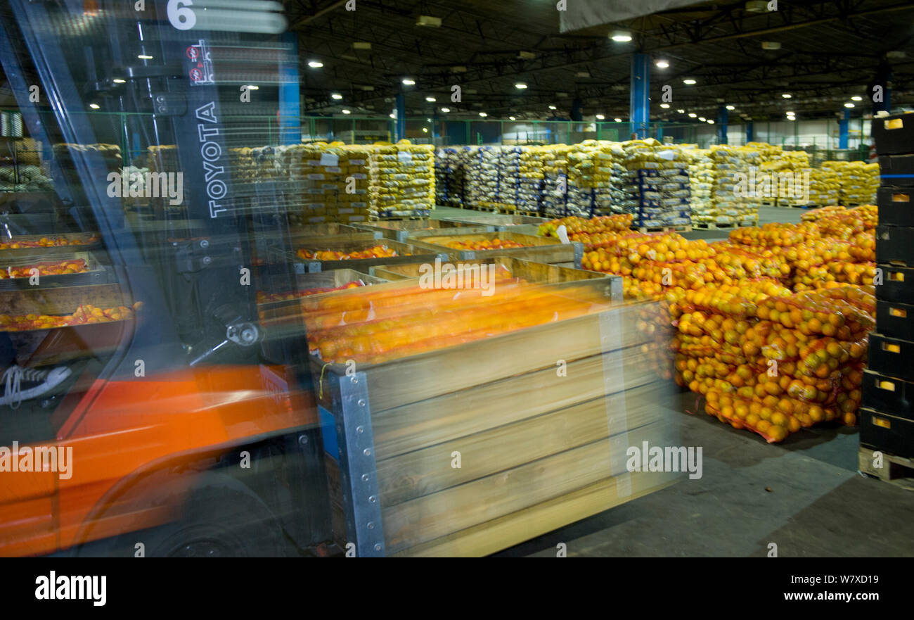 Fruit from Suikerbossie farm at a central warehouse in Cape Town, ready to be taken to market. South Africa. Stock Photo