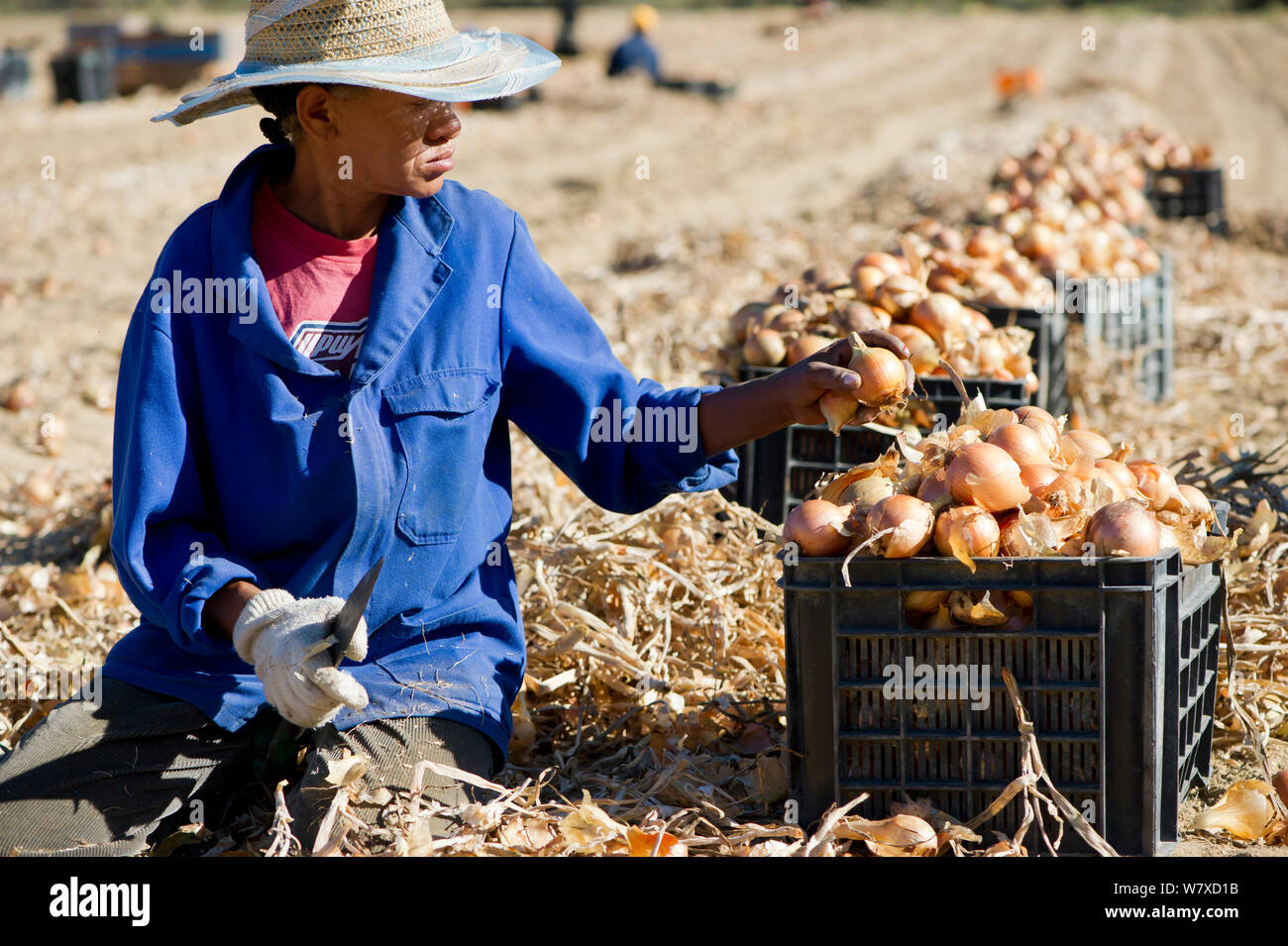 Koué bokkeveld hires stock photography and images Alamy