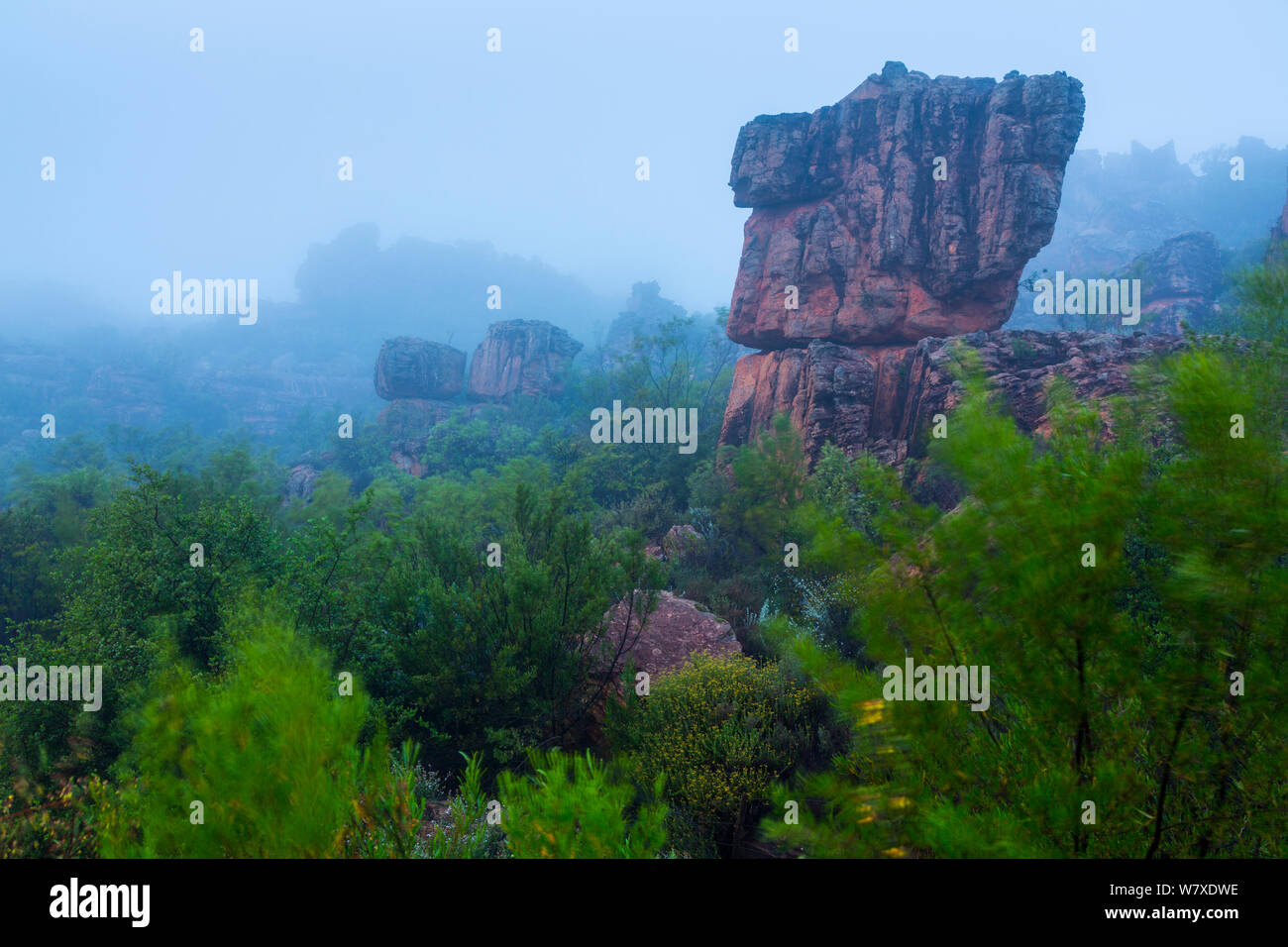 Mist over pinnacle rock formation, Pakhuis Pass, Clanwilliam, Cederberg Mountains, Western Cape province, South Africa, September 2012. Stock Photo