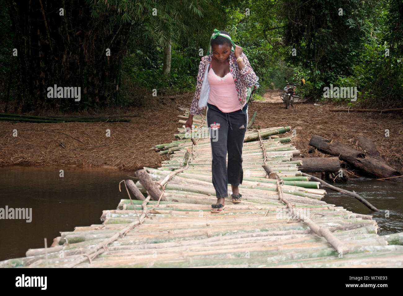 Local woman crossing bamboo bridge, Ituri Forest , Democratic Republic of the Congo, Africa, December 2011. Stock Photo