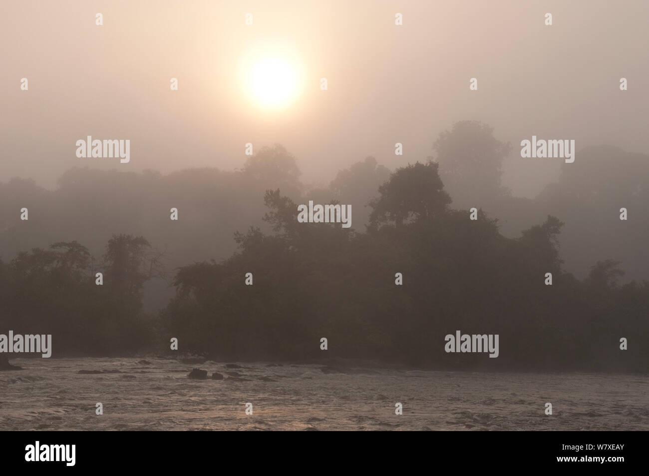 Ituri rainforest hi-res stock photography and images - Alamy