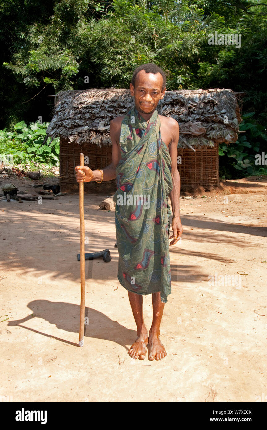 Portrait of Mbuti Pygmy man with staff, Ituri Rainforest, Democratic Republic of the Congo, Africa. November 2011. Stock Photo