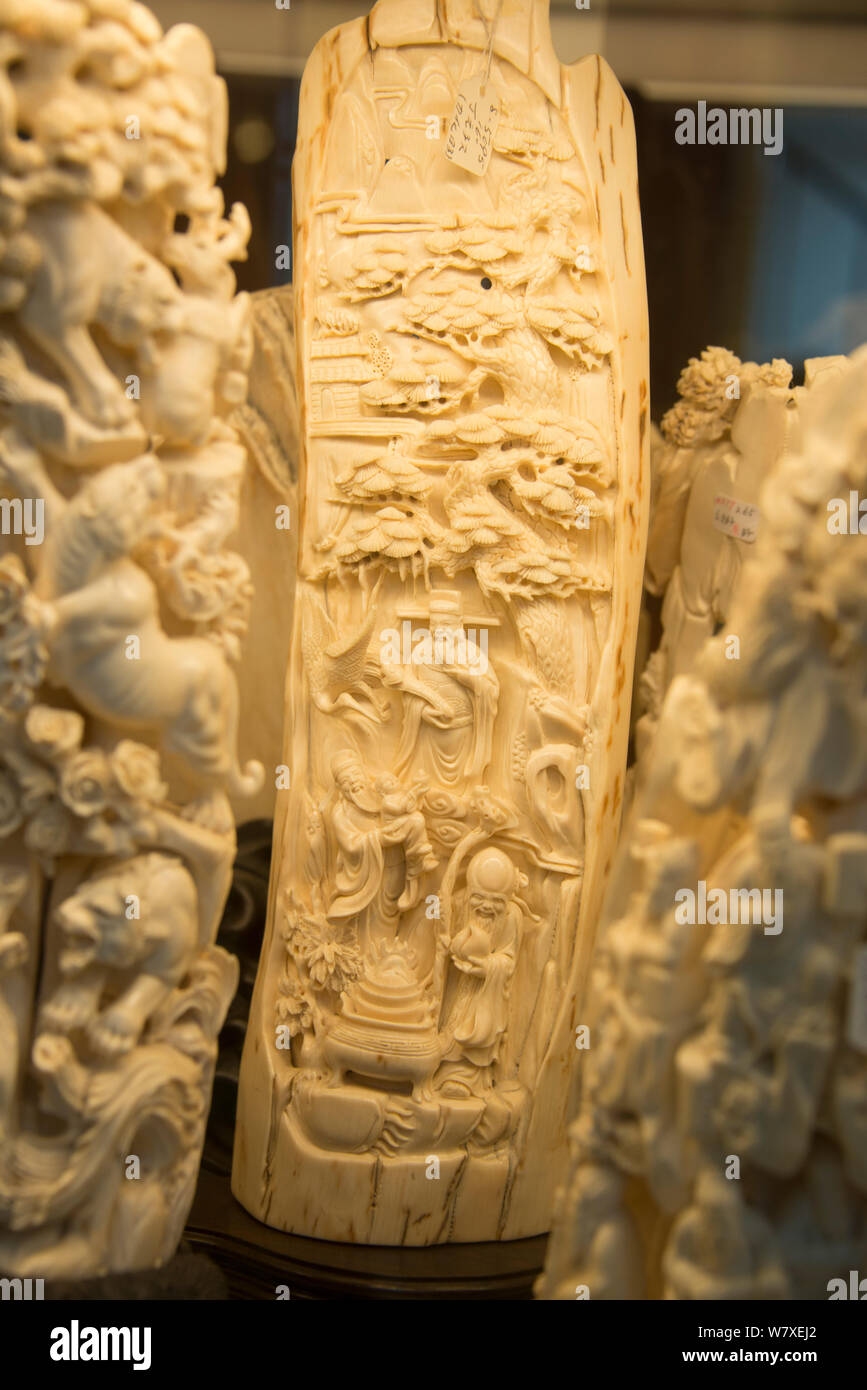 Carved ivory tusks, for sale in shop on Nathan Road, Kowloon, Hong Kong, December 2012. Stock Photo