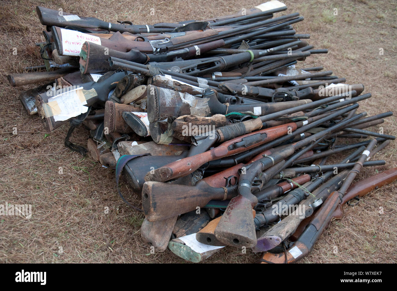 Confiscated guns from poachers, about to be burnt during government