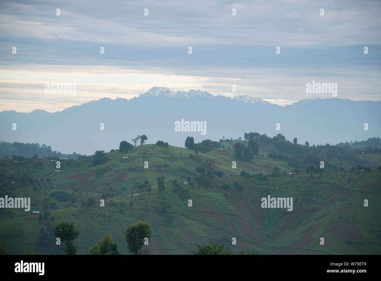 Ruwenzoris mountain range, Virunga National Park UNESCO World Heritage, Democratic Republic of the Congo, January 2012. Stock Photo