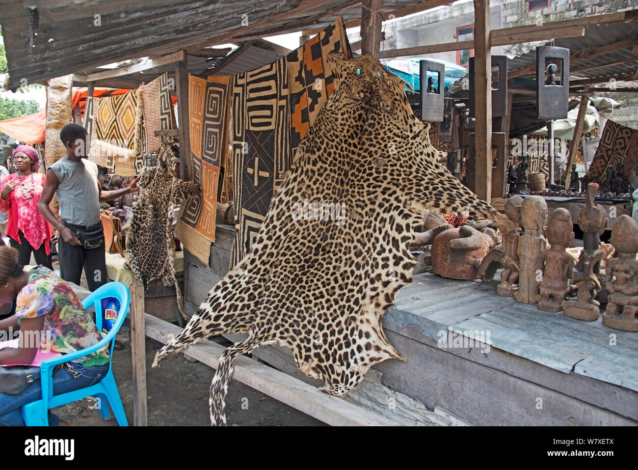 Leopard skin (Panthera pardus) for sale at Matche de la Volier (Market