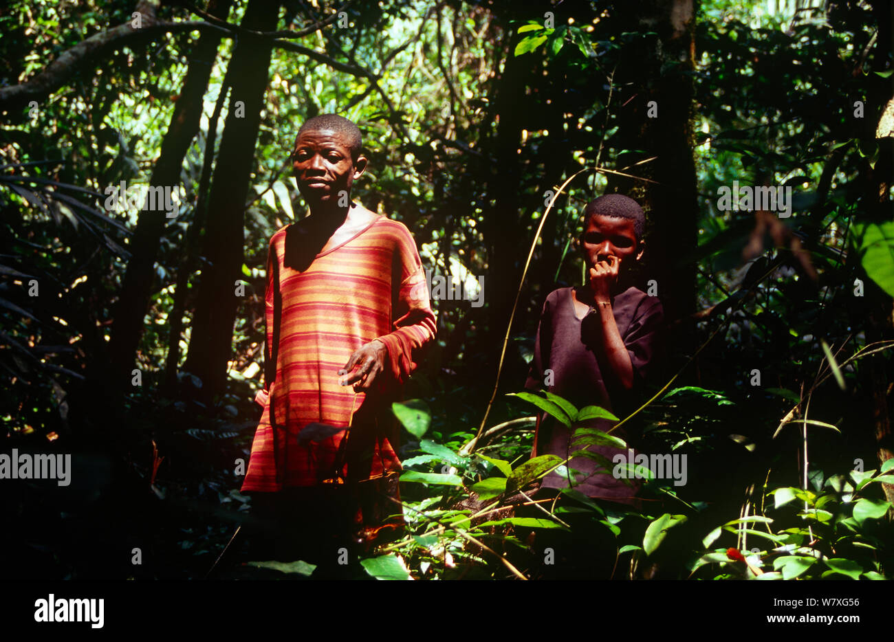 Batwa Pygmies, father and son foraging for food. Democratic Republic of the Congo, 2008-2009. Stock Photo