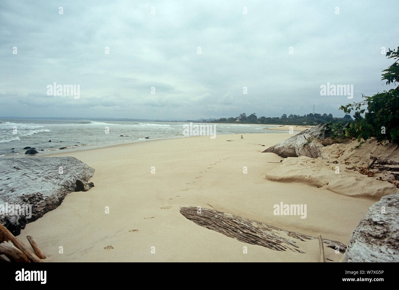 Gabon beach hi-res stock photography and images - Alamy