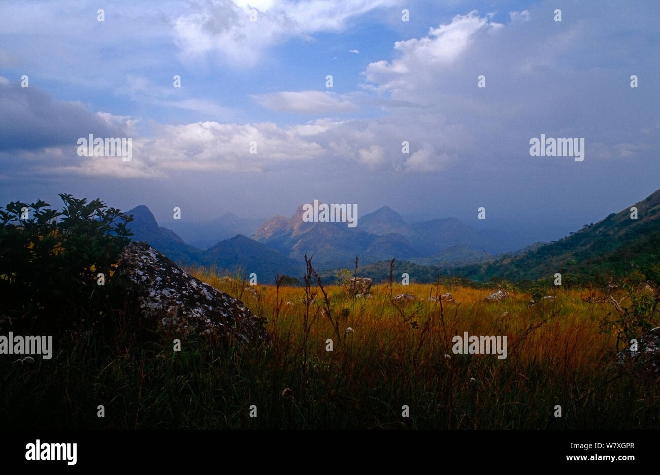 Loma Mountains Sierra Leone Hi res Stock Photography And Images Alamy loma-mountains-sierra-leone-hi-res-stock-photography-and-images-alamy