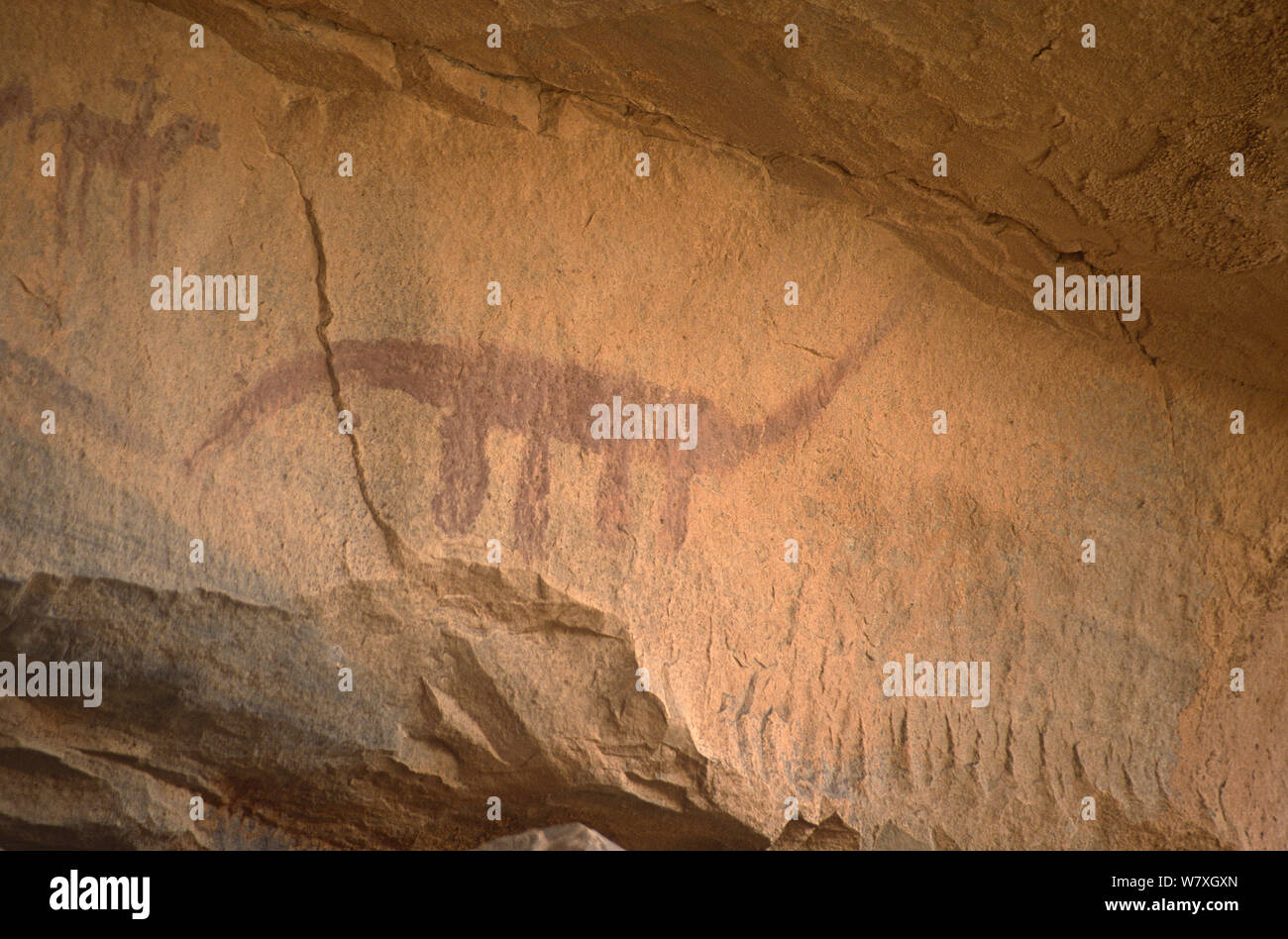 ancient-rock-painting-of-dinosaur-like-a